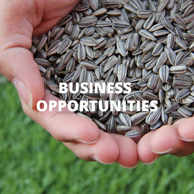Business-Opportunities